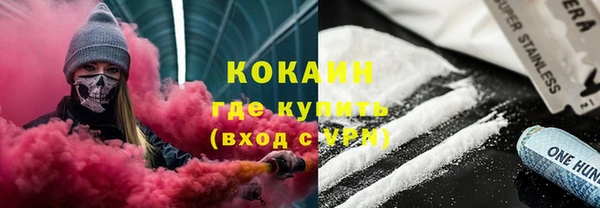 тгк Няндома