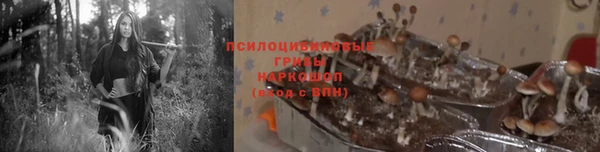 прущие крисы Новокубанск