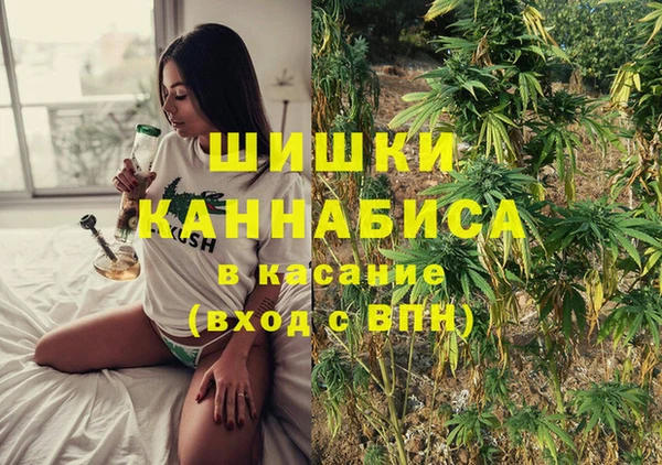 тгк Няндома
