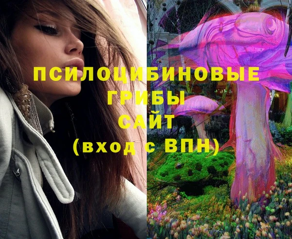 тгк Няндома