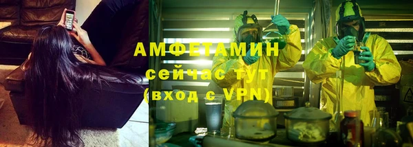 стаф Осинники